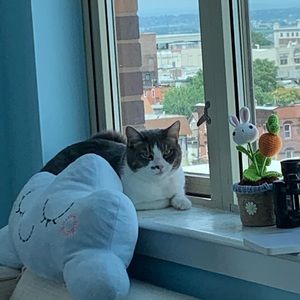 Meet your Posher, Yulie